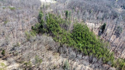 /international/us/hopewell-hawks-point-road-lot-15-beattyville-ky-110106719896/