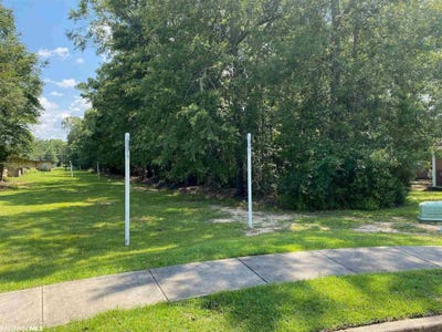 /international/us/travelers-court-lot-34-satsuma-al-110095771903/