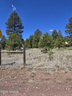 /international/us/2335-s-ash-lane-flagstaff-az-110109029354/