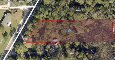/international/us/county-road-445a-astor-fl-110095048316/