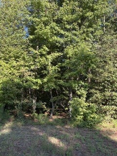 /international/us/little-john-street-reedville-va-110120533009/