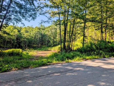 /international/us/hurd-road-swan-lake-ny-110119622142/