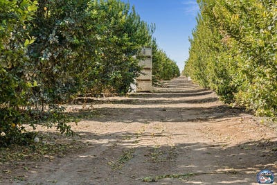 /international/us/7704-blair-rd-calipatria-ca-110097250076/