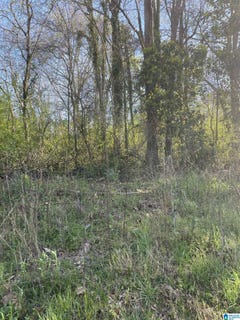 /international/us/franklin-street-lot-4-roanoke-al-110108577506/