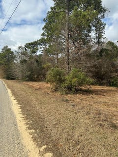 /international/us/bisbee-drive-lumberton-ms-110097217176/