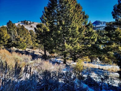 /international/us/mining-claim-access-basin-mt-110104434909/
