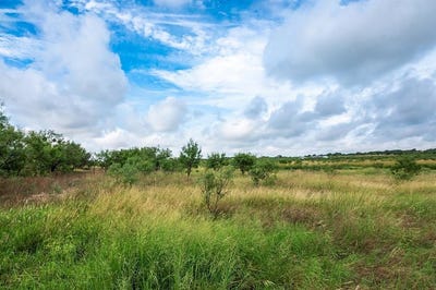 /international/us/1895-county-road-472-rochelle-tx-110100997288/