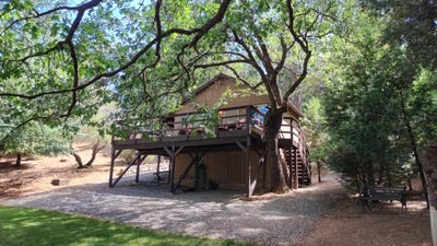 /international/us/1271-wy-court-camp-nelson-ca-110109410481/