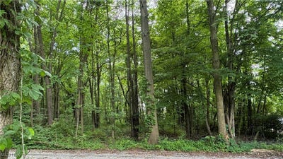 /international/us/aston-avenue-akron-oh-110100800766/