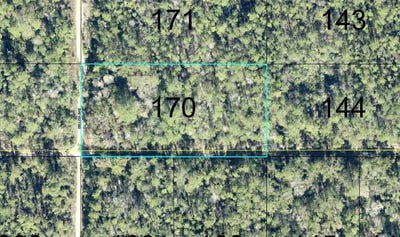 /international/us/170-dilllion-avenue-hastings-fl-110120137205/