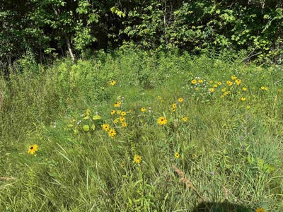 /international/us/tbd-holman-road-salisbury-vt-110100519454/