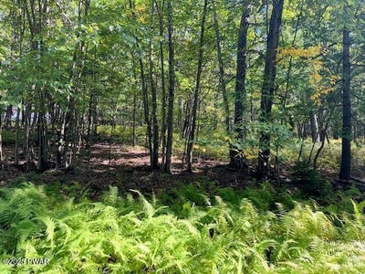 /international/us/squirrel-road-lot-427-dingmans-ferry-pa-110102474953/