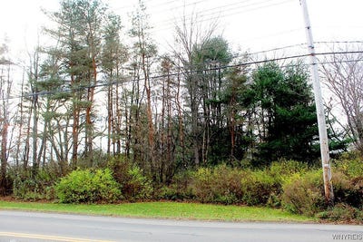 /international/us/vl-vaughn-street-lot-6-springville-ny-110088097696/