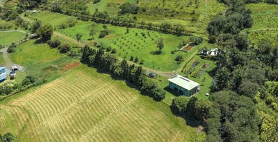 /international/us/29-2612-kaiwiki-homestead-rd-hakalau-hi-110100064794/