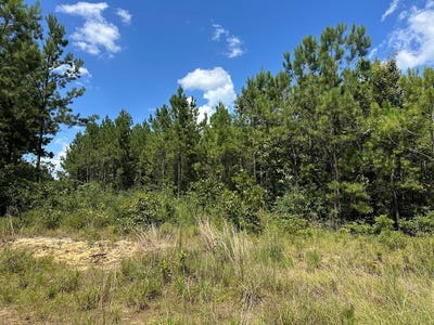 /international/us/0-n-hwy-43-poplarville-ms-110101196312/?lang=zh-cn