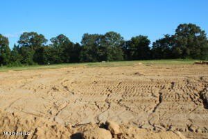 /international/us/31-chapel-hill-subdivision-lot-31-holly-springs-ms-110101938145/