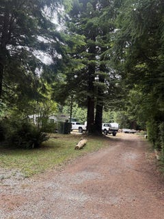 /international/us/1455-ferndale-crescent-citu-ca-110101216550/
