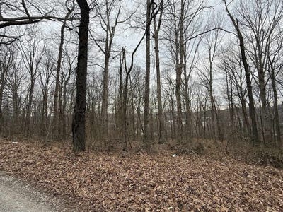 /international/us/0-pitcher-road-morgantown-ky-110106036821/
