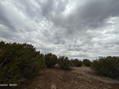/international/us/149-county-rd-8057-concho-az-110101025650/