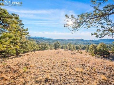 /international/us/2706-southpark-road-florissant-co-110103475560/