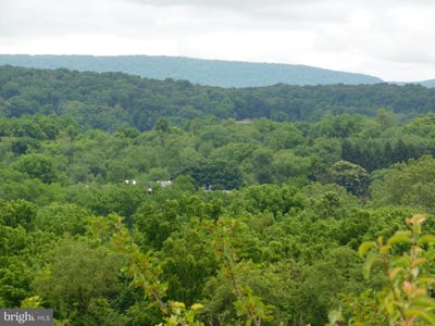 /international/us/00-ginger-lane-lot-10-mifflintown-pa-110092556728/?lang=zh-tw