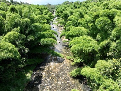 /international/us/carr-181-km-10-quebrada-honda-san-lorenzo-pr-110100373443/?lang=zh-tw