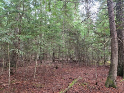 /international/us/elk-heights-lane-lot-a-1-heron-mt-110098460663/?lang=zh-cn