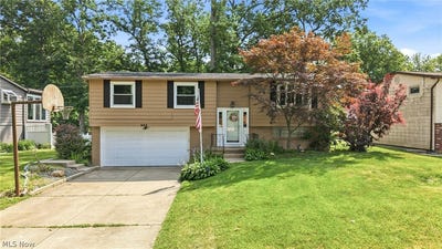 /international/us/805-trumbull-drive-niles-oh-110109133763/