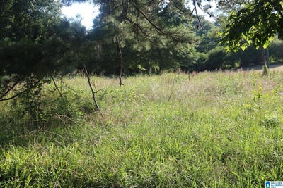 /international/us/174-poplar-springs-drive-lot-1-2-3-sylvan-springs-md-110108626591/
