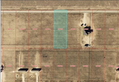 /international/us/6940-pr-cub-shallowater-tx-110110198044/
