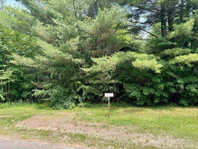 /international/us/25571-nelson-street-michigamme-mi-110109806546/