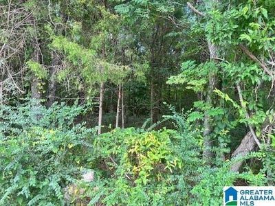 /international/us/3080-easonville-road-pell-city-al-110101510048/