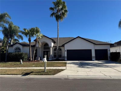 /international/us/28724-hanging-moss-loop-wesley-chapel-fl-110104969425/