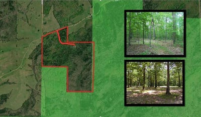 /international/us/county-road-830-thornfield-mo-110107982856/
