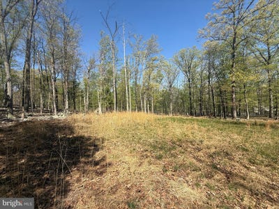 /international/us/56-leisure-lane-berkeley-springs-wv-110107378070/