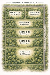 /international/us/horseshoe-rd-n-lot-hrn-1-b-independence-la-110105977658/