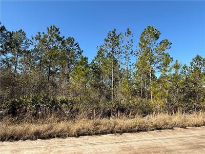 /international/us/0-lot-4-elmer-thrift-road-waycross-ga-110097087210/?lang=en