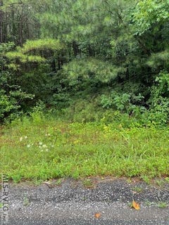 /international/us/lawrenceville-plank-rd-lot-1-lawrenceville-va-110092930503/