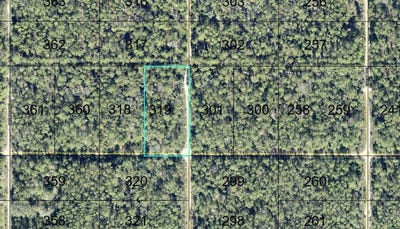 /international/us/319-tippin-street-hastings-fl-110120134193/