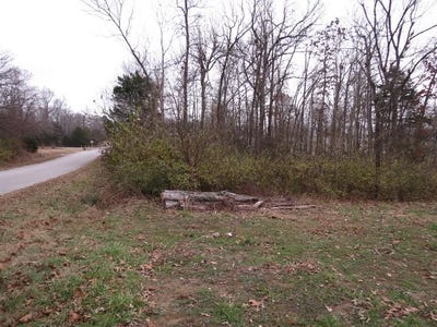 /international/us/00-maple-avenue-bull-shoals-ar-110081203421/