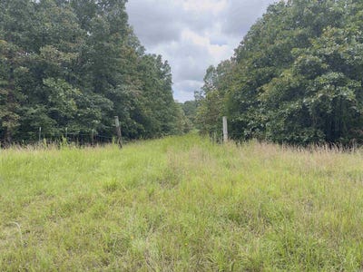 /international/us/tbd-turkey-springs-ranch-ln-highland-ar-110100929967/?lang=es