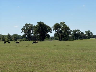 /international/us/2966-highway-679-gorman-tx-110107999999/