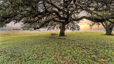 /international/us/81-private-road-3095-shiner-tx-110100939628/