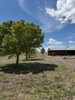 /international/us/25560-county-road-13-johnstown-co-110107999253/