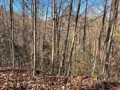/international/us/lot-49j-indian-trail-hayesville-nc-110101031227/?lang=zh-tw