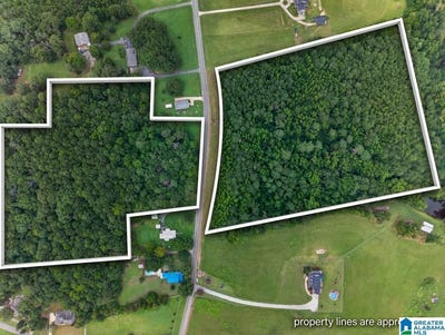 /international/us/pleasant-valley-road-lot-0-jacksonville-al-110110200814/