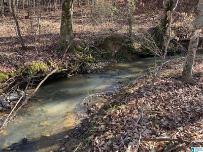 /international/us/2-mountainside-drive-lot-2-west-blocton-al-110110064448/