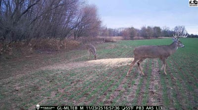 /international/us/ne-140-rd-harper-ks-110108032262/