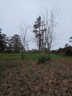 /international/us/resi-93j-lekites-lot-3-chincoteague-va-110120509877/