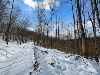 /international/us/0-wolfpen-run-rd-coxs-mills-wv-110105712461/
